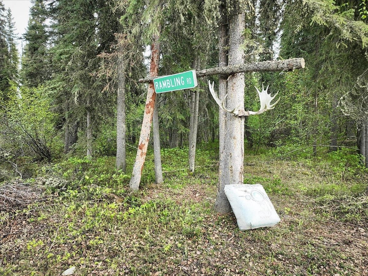 Antlers hanging on a spruce tree under a log crossbar beside the Rambling Rd street sign, with an archery target leaning against the trunk.